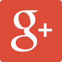 Goggle Plus icon